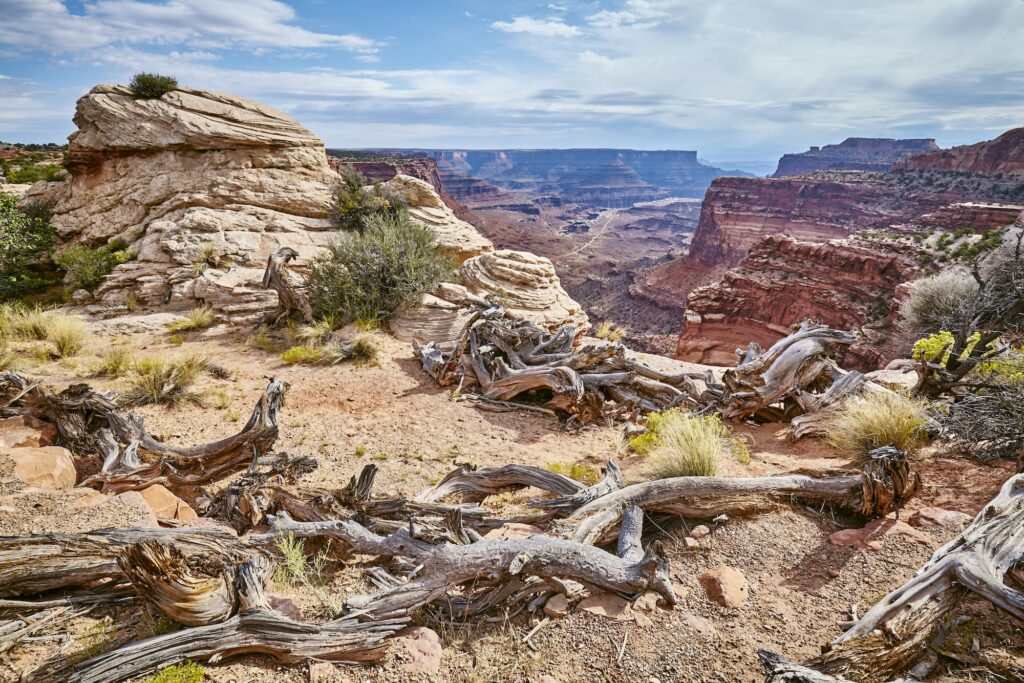 Canyonlands National Park, Utah, USA.