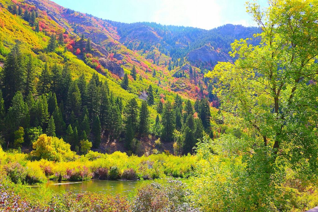 Colors of autumn along Utah scenic byway.