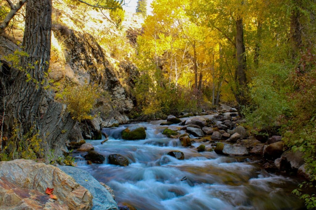 River running wild during fall season in the mountains of Utah.