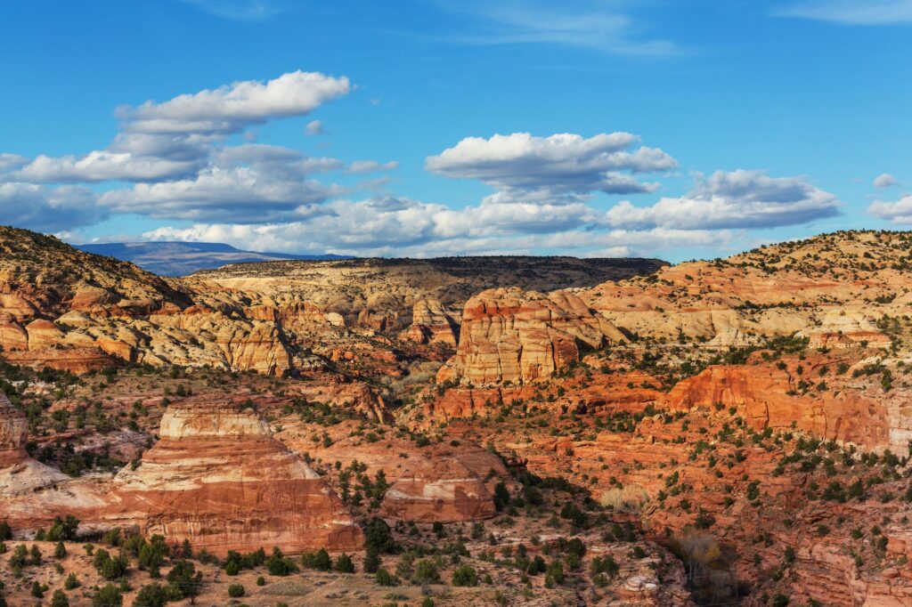 Utah landscapes