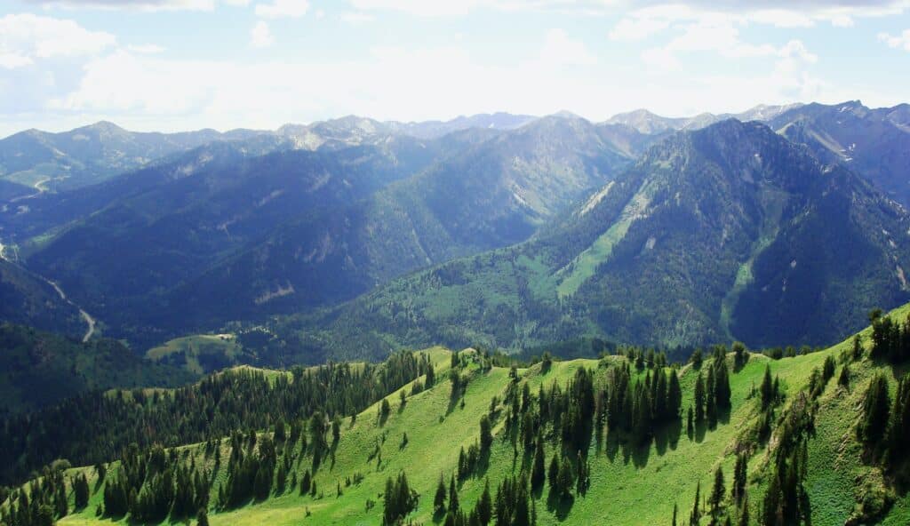 Utah wilderness | Cottonwood canyons