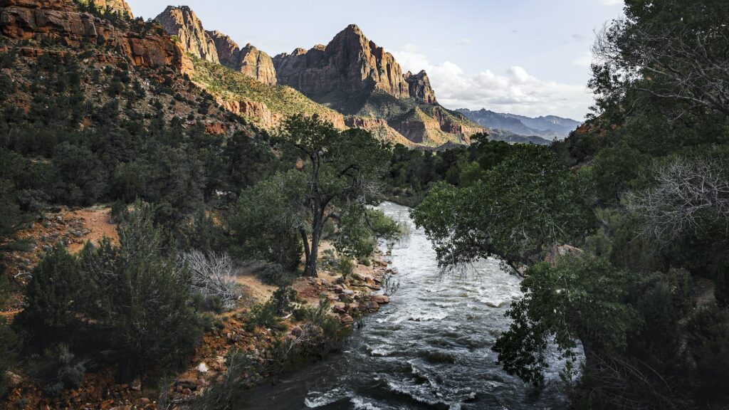 Virgin river in Zion National Park at Utah, USA